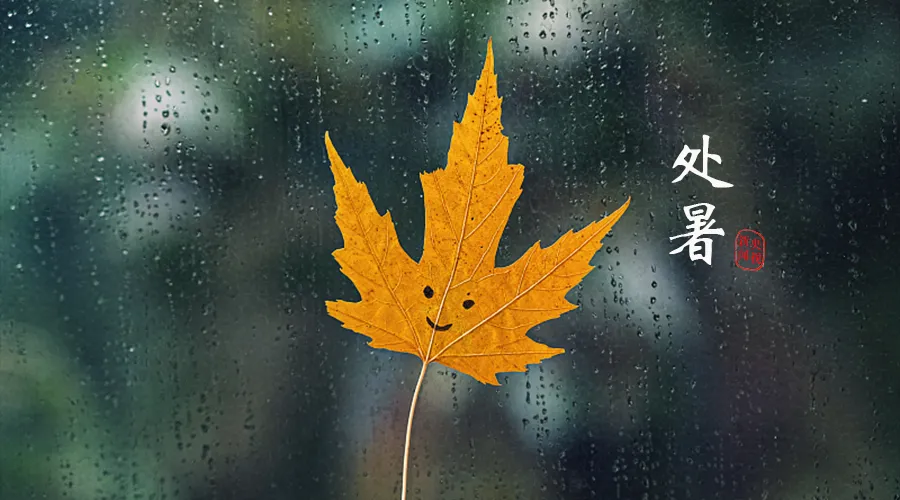 今日處暑，暑去涼來