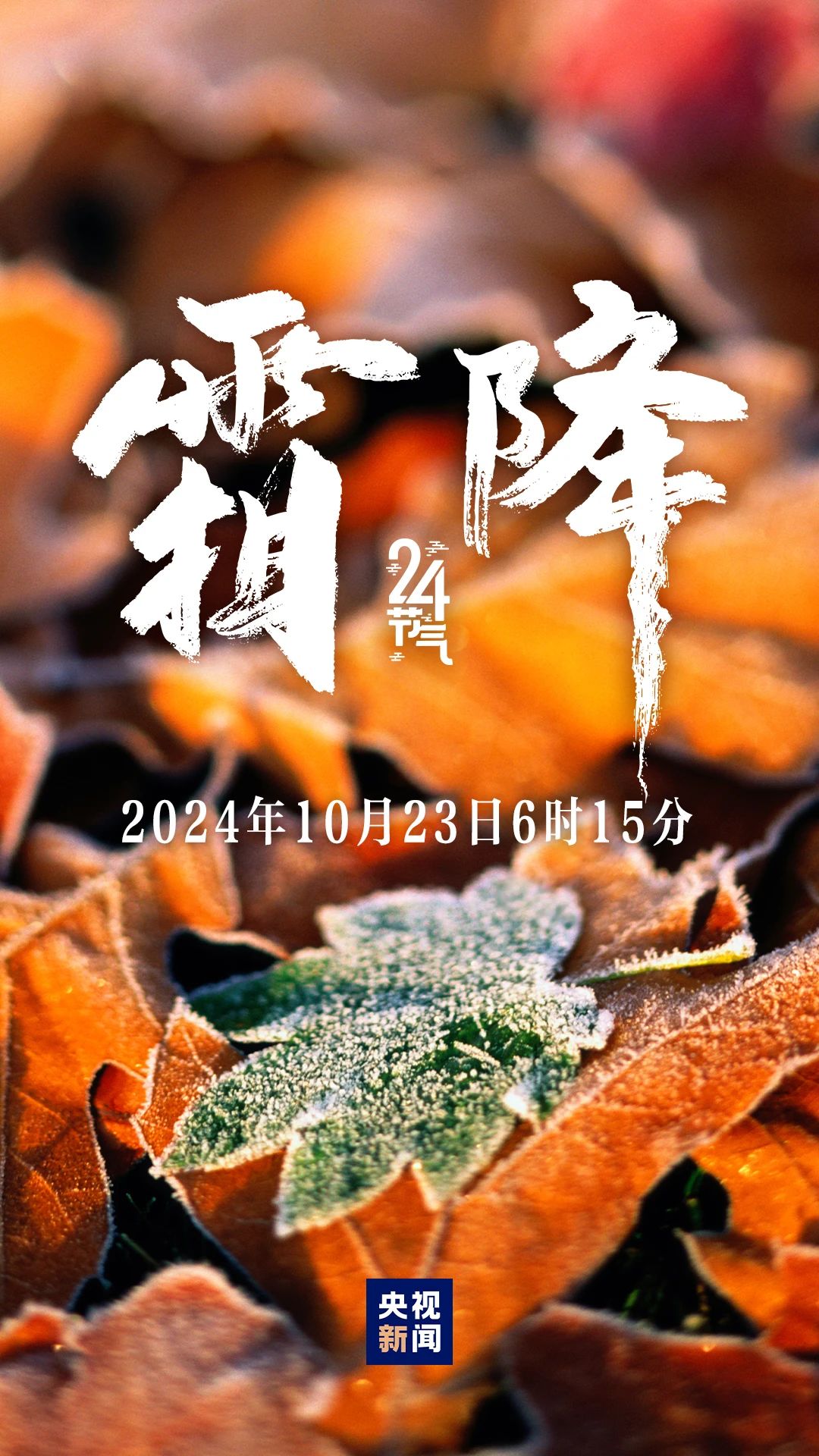 秋季最后一個(gè)節(jié)氣，來了